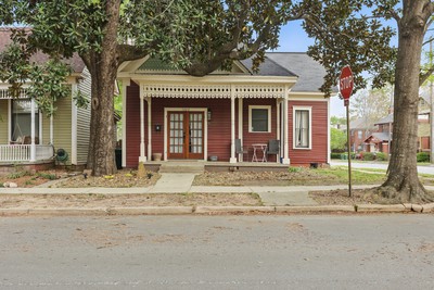Cumberland Magnolia